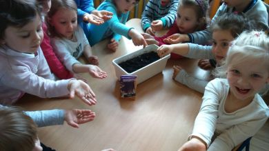 Grupa Biedronek podczas zakładania kącika roślin.