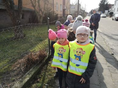 Szukamy wiosny