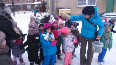 Najmłodsi dla najmniejszych" - dokarmianie ptaków zimą